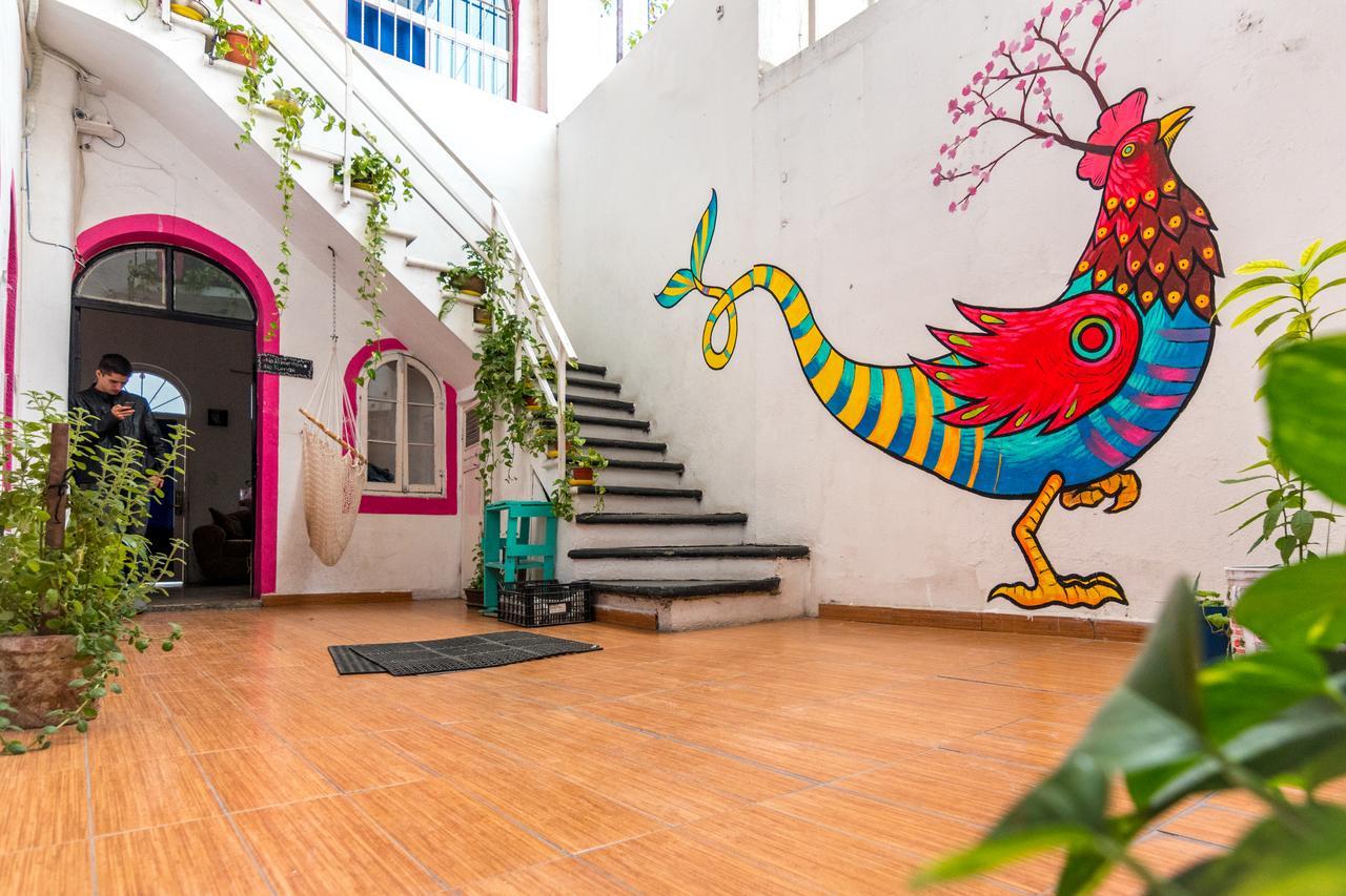 Taiyari Hostal Monterrey Luaran gambar
