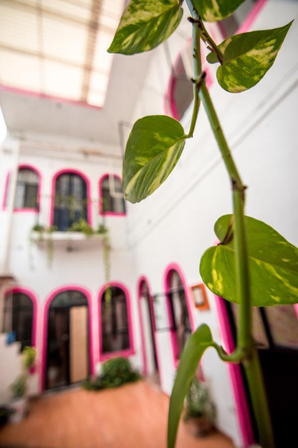 Taiyari Hostal Monterrey Luaran gambar